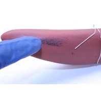 1997-2004 Porsche Boxster Roll Bar Pad Left OEM