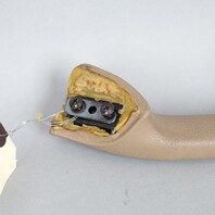 1996-2002 BMW Z3 Right Interior Door Handle Beige 51418398736 OEM Used