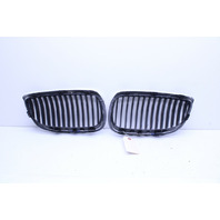2009 BMW 328xi Hood Grill Left Right Pair Chrome 51137157277 OEM