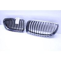 2009-2011 BMW 328i 335i Sedan Kidney Grille Right Left Pair Set - 51137201969 OEM