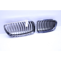 2009-2011 BMW 328i 335i Sedan Kidney Grille Right Left Pair Set - 51137201969 OEM