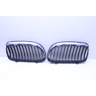 2009-2011 BMW 328i 335i Upper Bumper Grille Left Right Pair - 51137201967 OEM