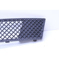 2008-2013 BMW 128i 135i Front Bumper Grille Lower Center - 51117178710 OEM