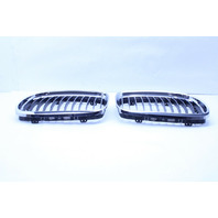 2009-2011 BMW 328i 335i Sedan Kidney Grille Right Left Pair Set OEM