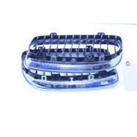 2009-2011 BMW 328i 335i Sedan Kidney Grille Right Left Pair Set OEM