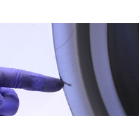 2002-2004 Porsche 911 996 Rear Wheel 18 X 10 Rim OEM