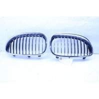 2004-2010 BMW 525i 530i 535i 545i 550i M5 Kidney Grille Right Left Pair Set OEM