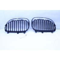2004-2010 BMW 525i 530i 535i 545i 550i M5 Kidney Grille Right Left Pair Set OEM