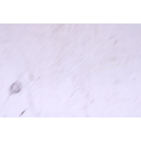 2009-2015 BMW 740i 750i Front Wheel 19 X 8.5 Style 302 Rim OEM