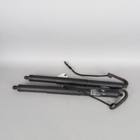 2014-2018 BMW X5 Tailgate Trunk Lid Lift Shock Pair 51247294469 OEM Used
