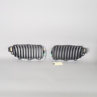 2012-2018 BMW 320I 328i 335i Front Bumper Kidney Grille Set OEM