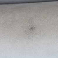 Johnny find and scrap