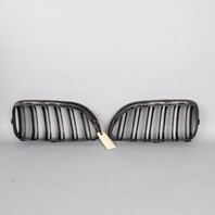2012‑2018 BMW 640i 650i M6 Performance Kidney Grilles Pair 51712297595 OEM Used