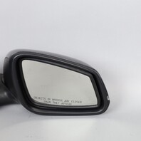 2013-2015 BMW X1 Right Passenger Side View Door Mirror 51167307186 OEM