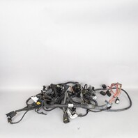 2013-2015 BMW 750Li N63B Engine Module Wiring Harness 12518614673 OEM Used