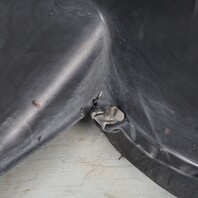 1997-2004 Porsche 911 996 Boxster 986 Front Fender Liner Left OEM Used
