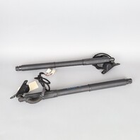 2007-2013 BMW X5 E70 Trunk Lid Lift Actuator Shock Pair 51247294587 OEM Used