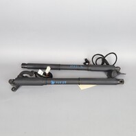 2007-2013 BMW X5 Trunk Lid Lift Actuator Shock Pair Right Left 51247172059 OEM Used