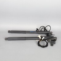 2007-2013 BMW X5 Trunk Lid Lift Actuator Shock Pair Right Left 51247172059 OEM Used