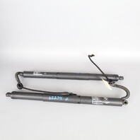 2014-2018 BMW X5 X5M Tailgate Trunk Lid Lift Shock Pair 51247294469 OEM Used