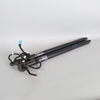 2011-2015 BMW X3 Hatch Lift Support Strut Pair 51247232003 OEM Used