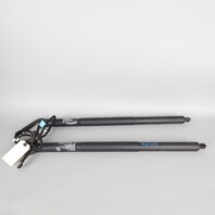 2011-2015 BMW X3 Hatch Lift Support Strut Pair 51247232003 OEM Used