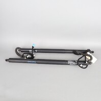 2011-2015 BMW X3 Hatch Lift Support Strut Pair 51247232003 OEM Used