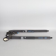 2011-2015 BMW X3 Hatch Lift Support Strut Pair 51247232003 OEM Used