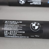 2011-2015 BMW X3 Hatch Lift Support Strut Pair 51247232003 OEM Used