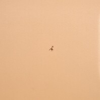 2011-2018 Porsche Cayenne 958 Glove Box Espresso Leather 95855209519 OEM Used