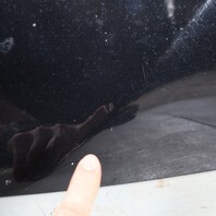 2011-2016 BMW 528i 535 550i M5 Hood 41617207194 Black OEM Used