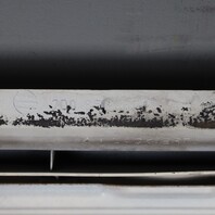 1996-2003 Volkswagen Eurovan Upper and Lower Grille Set White 7D0853654 OEM Used