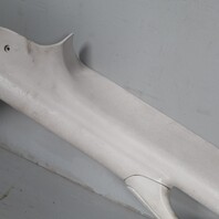 1999-2003 Volkswagen Eurovan Left Pillar Grab Handle 7D0867265 OEM Used NOTE