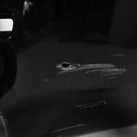 2014-2018 BMW X5 F15 Rear Bumper Cover M-Package Black-Sapphire Has Damage