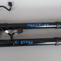 2011-2014 Porsche Cayenne Tailgate Trunk Shock Pull Down Motor Pair OEM Used