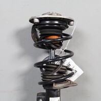 2012-2015 BMW 320i 328i Front Strut Shock Spring 31316791551 OEM