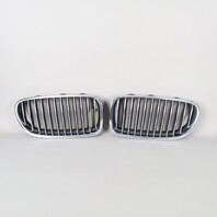 2011-2013 BMW 528i 535i 550i Front Bumper Grille Set Left Right Pair OEM Used