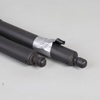 2011-2015 BMW X3 F25 Hatch Lift Support Strut Pair 51247232003 OEM