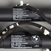 2011-2015 BMW X3 F25 Hatch Lift Support Strut Pair 51247232003 OEM