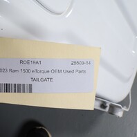 2023 Ram 1500 eTorque OEM Parts