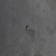 2005-2012 Porsche 911 997 Left Rear Fender Liner 99750457300 OEM