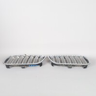 2007-2010 BMW X3 E83Front Hood Grille Right Left Pair 51113420087 OEM Used