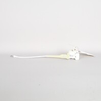 2005-2012 Porsche Boxster Cayman 987 Trunk Lock Actuator 99662411701 OEM