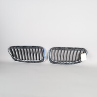 2004-2010 BMW 645ci 650i M6 Upper Front Bumper Kidney Grille Set Pair OEM Used