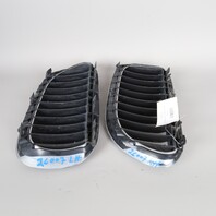 2004-2010 BMW 645ci 650i M6 Upper Front Bumper Kidney Grille Set Pair OEM Used