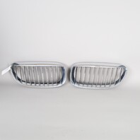 2004-2010 BMW 645ci 650i M6 Upper Front Bumper Kidney Grille Set Pair OEM Used