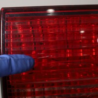 2003-2006 Porsche Cayenne 955 Right Tail Light OEM 95563148502 NOTE