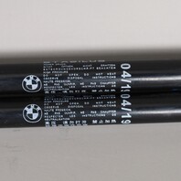 2009-2016 BMW Z4 E89 Hood Hinges Pair OEM 51237285823