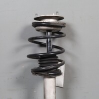 1997-2003 BMW 525i 528i 530i Front Strut Shock Spring 31311096857 OEM