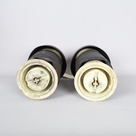 2007-2013 BMW X5 E70 Rear Pneumatic Air Spring Pair Set 37126790078 OEM